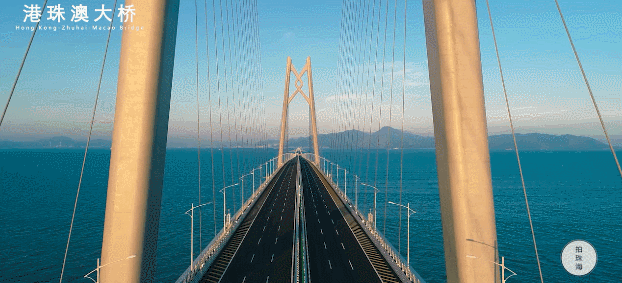 深?yuàn)W圖見證“超級(jí)工程”技術(shù)牛 緊跟中國(guó)橋梁走出去